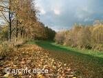 krajina kolem řeky Lubiny v blízkosti splavu na Stikovci