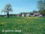 pohled na Haškovec z Hončové hůrky