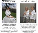 Městské muzeum ve Velké Bíteši