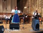 Jihočeské folklorní sdružení