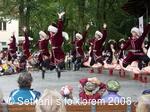 Mezinárodní folklorní festival Setkání s folklorem