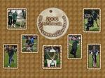 VIII. ročník Her bez venkovských hranic - Petřvald 10.6.2006