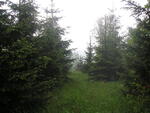 Hodslavice