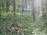Hodslavice
