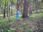 Hodslavice
