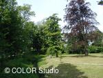 Zámecký park