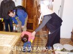 Ukládání Ježibaby mladé (tzn. bez vousů) k zimnímu spánku 31.12.2009