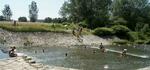 splav