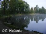 Petřvald